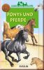 Ponys und Pferde