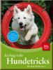 Richtig tolle Hundetricks die jeder lernen kann