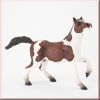 Quarter Horse Hengst