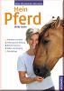 Mein Pferd