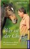 Wer ist der Chef?