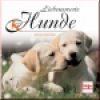 Liebenswerte Hunde