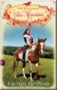 Blue Mountain - 4 Herz