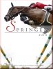 Springen 2010