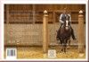 Reiten mit Marc de Broissia DVD