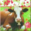 ROSY THE COW