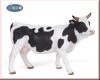 Kuh (Vaca picaza) Papo