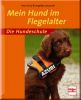 Mein Hund im Flegelalter
