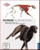 Hunde in Bewegung
