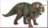 Triceratops PAPO
