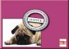 Mopsfidele Gr��e - 10 Postkarten im Set