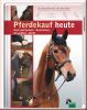 Pferdekauf heute