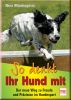 So denkt Ihr Hund mit