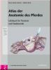 Atlas der Anatomie des Pferdes